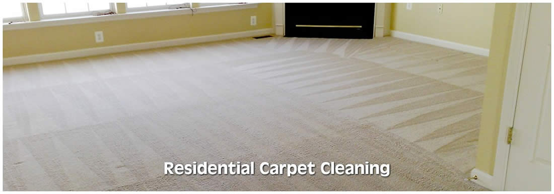 Adams carpet cleaner